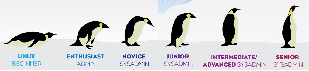 EvolutionSysadmin_Infographic4